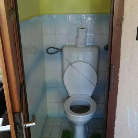 In 38062 *